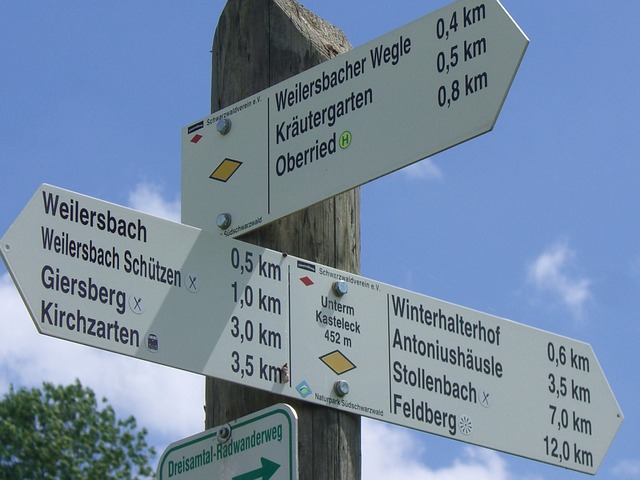 Hiking in The Black Forest
